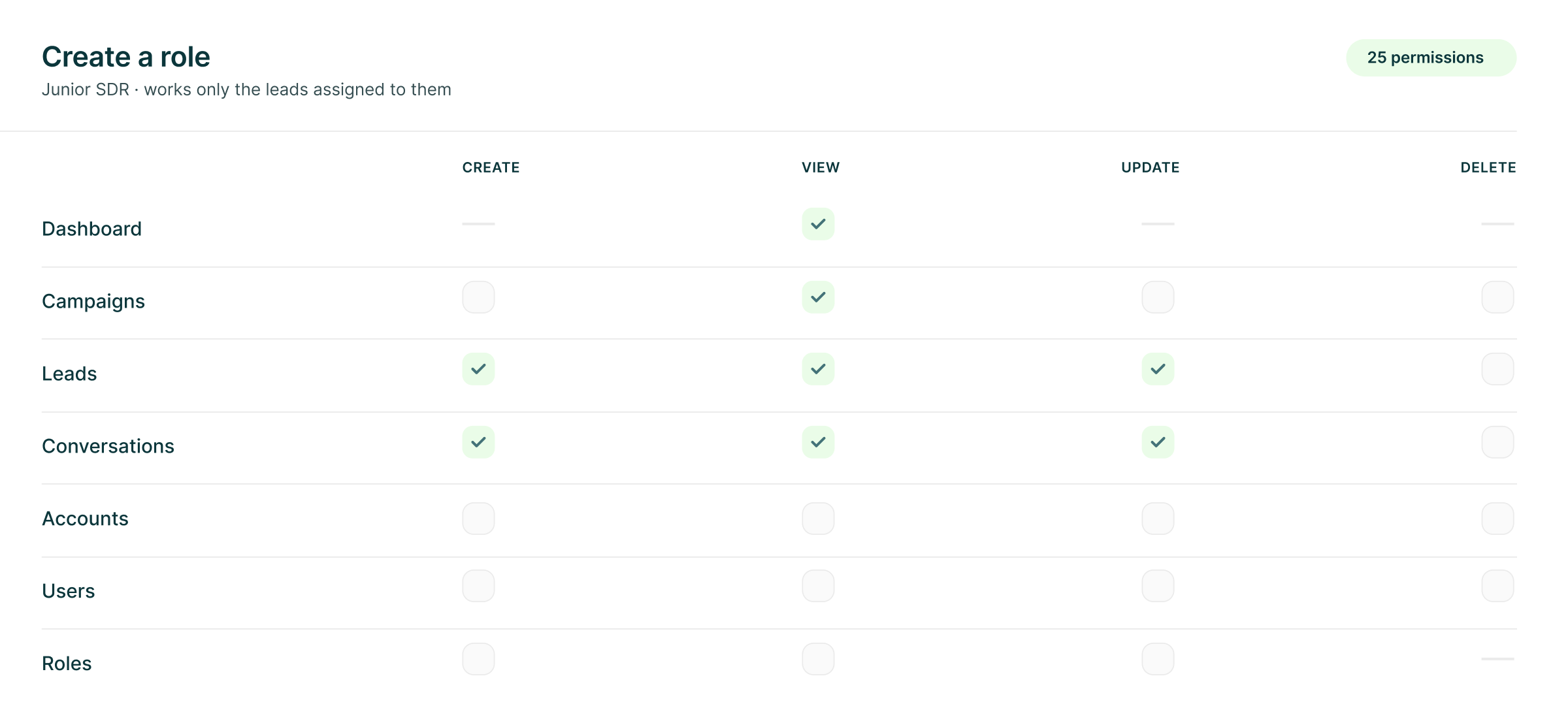 Create a role panel for a Junior SDR who works only the leads assigned to them, with create, view, update and delete permissions across dashboard, campaigns, leads, conversations, accounts, users and roles